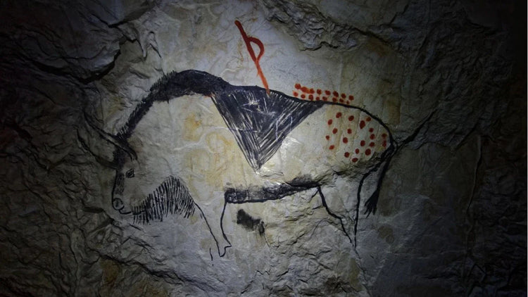 Arqueología, Paleontología, Geología, Antropología y Temas Afines