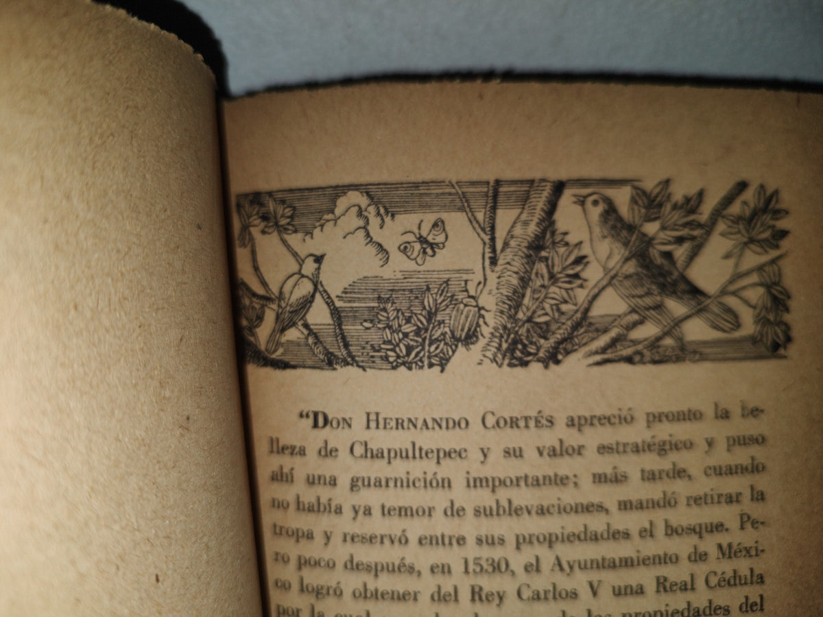 85- Chapultepec. Biografía De Un Bosque - Hermilo De La Cueva - 1957