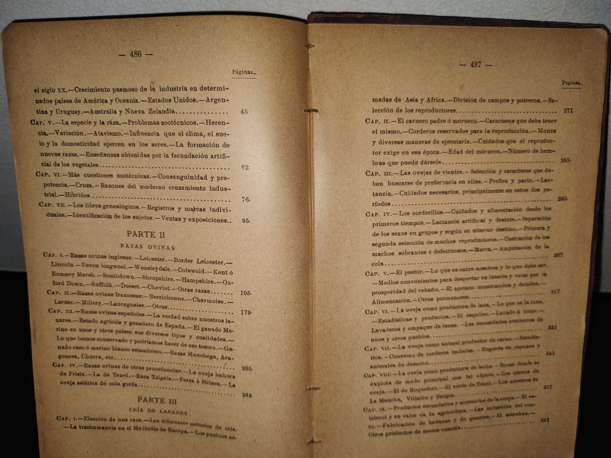 59- Ovejas Y Cabras - M. Escandón - Madrid, Ángel De San Martín, Librero Editor - 1900'S