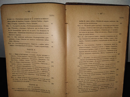 59- Ovejas Y Cabras - M. Escandón - Madrid, Ángel De San Martín, Librero Editor - 1900'S