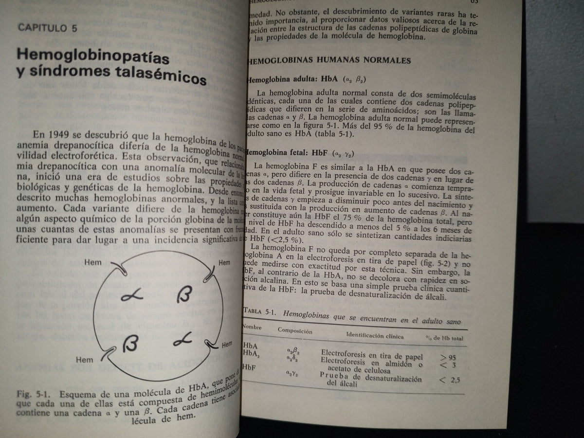 93- Introducción A La Hematología - Samuel I. Rapaport