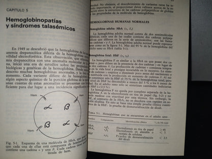 93- Introducción A La Hematología - Samuel I. Rapaport