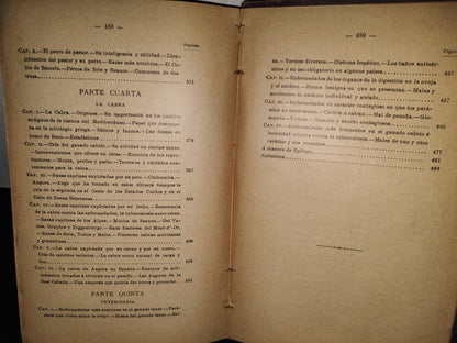 59- Ovejas Y Cabras - M. Escandón - Madrid, Ángel De San Martín, Librero Editor - 1900'S
