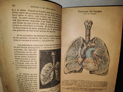 188- Codicilo A Mi Testamento Para Sanos Y Enfermos - Monseñor Sebastián Kneipp - 1896