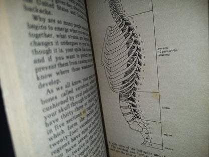 215- El Dolor De Espalda. The Back Doctor. Lifetime Relief For Your Aching Back - Hamilton Hall