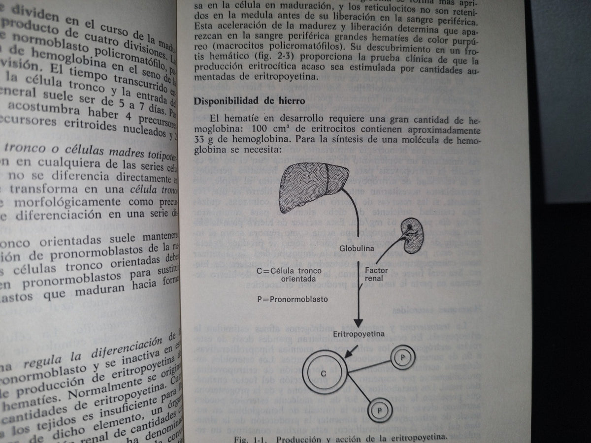 93- Introducción A La Hematología - Samuel I. Rapaport