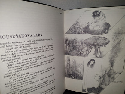 174- Checo. Alicia En El País De Las Maravillas / Alenka V Kraji Divů Z Zrcadlem. Lewis Carroll 1982