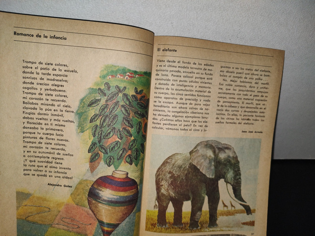 89- Libro De Primaria. Sep - Español, Sexto Grado De Lecturas - 1972