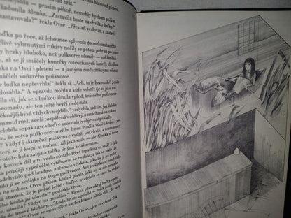 174- Checo. Alicia En El País De Las Maravillas / Alenka V Kraji Divů Z Zrcadlem. Lewis Carroll 1982