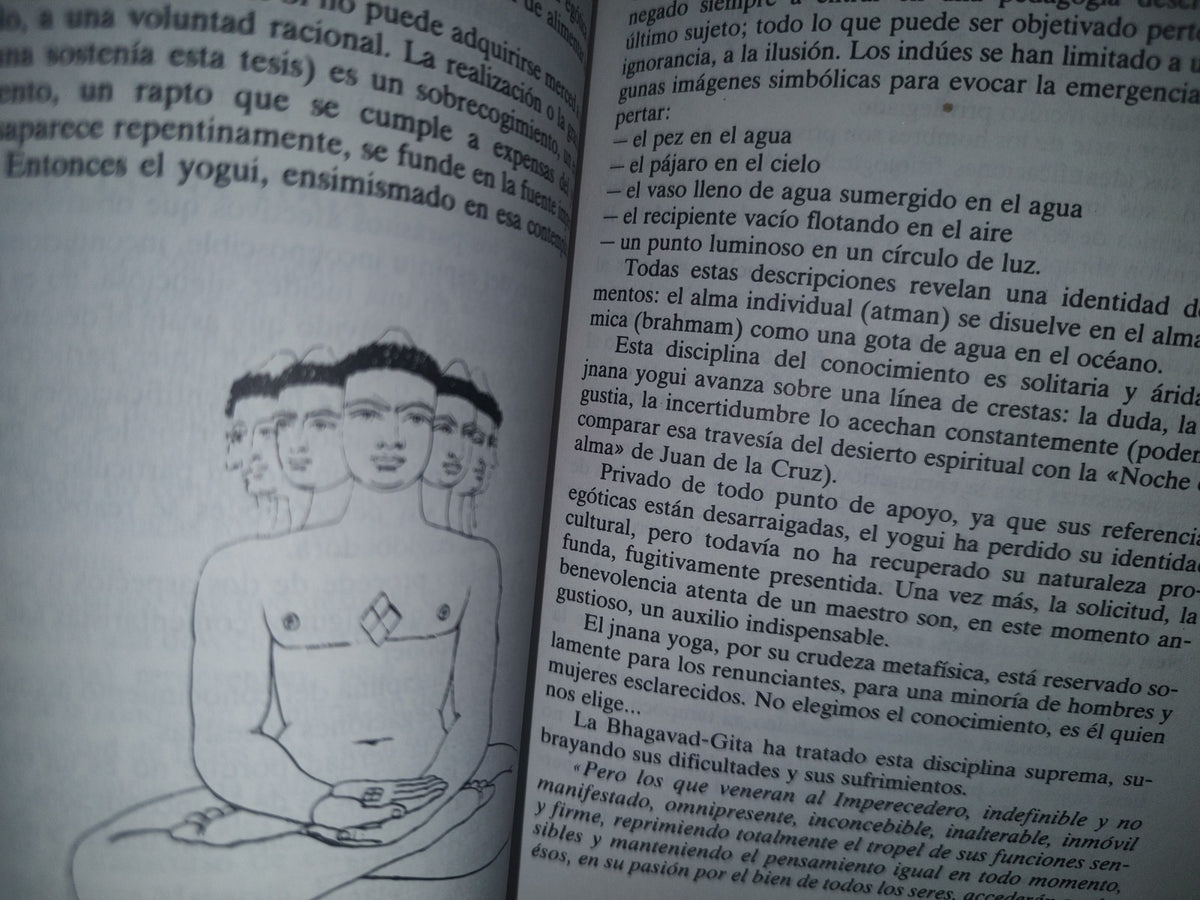 34- Los Yogas - Jean-Michel Varenne