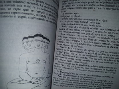 34- Los Yogas - Jean-Michel Varenne