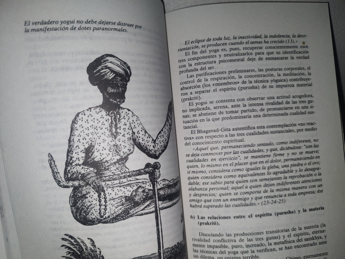 34- Los Yogas - Jean-Michel Varenne