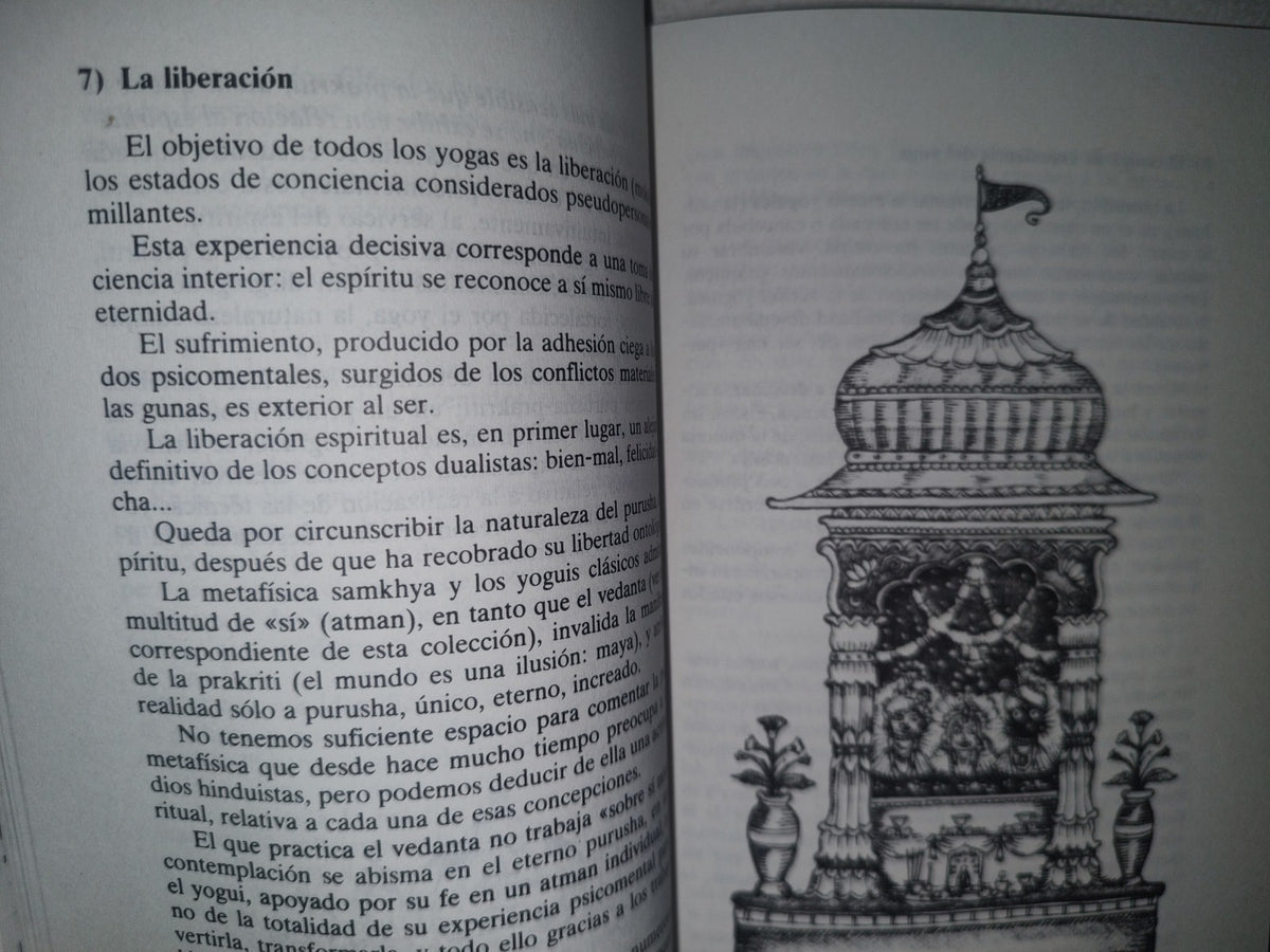 34- Los Yogas - Jean-Michel Varenne