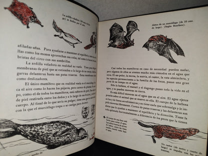 145- Mis Primeros Conocimientos. Animales Prehstóricos, Mamíferos... - Editorial Cumbre 1981