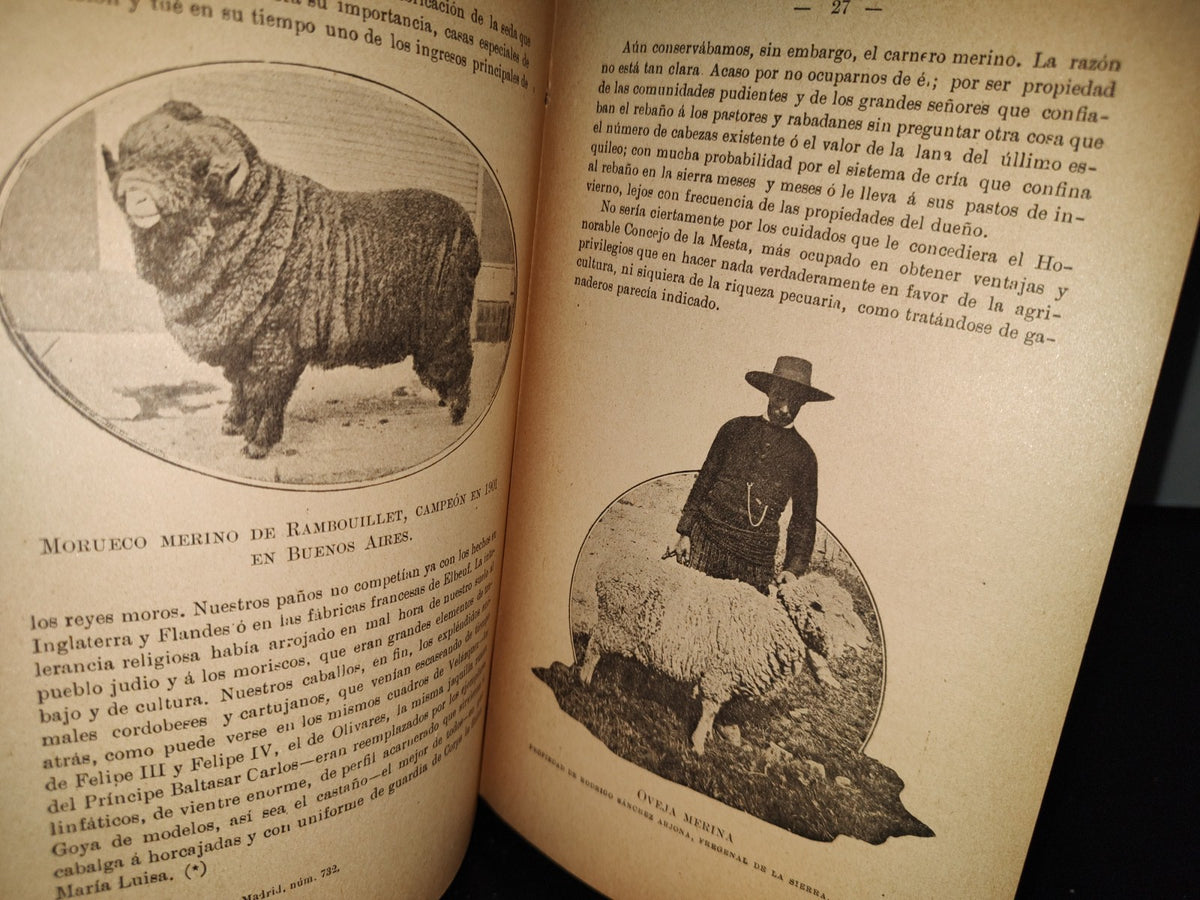 59- Ovejas Y Cabras - M. Escandón - Madrid, Ángel De San Martín, Librero Editor - 1900'S