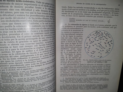 59- Tratado Práctico De Microparasitología Y Serología - E. Gotschlich, W. Schürmann - 1932