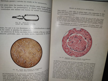 59- Tratado Práctico De Microparasitología Y Serología - E. Gotschlich, W. Schürmann - 1932