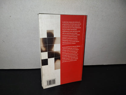85- Un Espejo Para El Sol - Alicia Madrazo - Primera Edición 2006