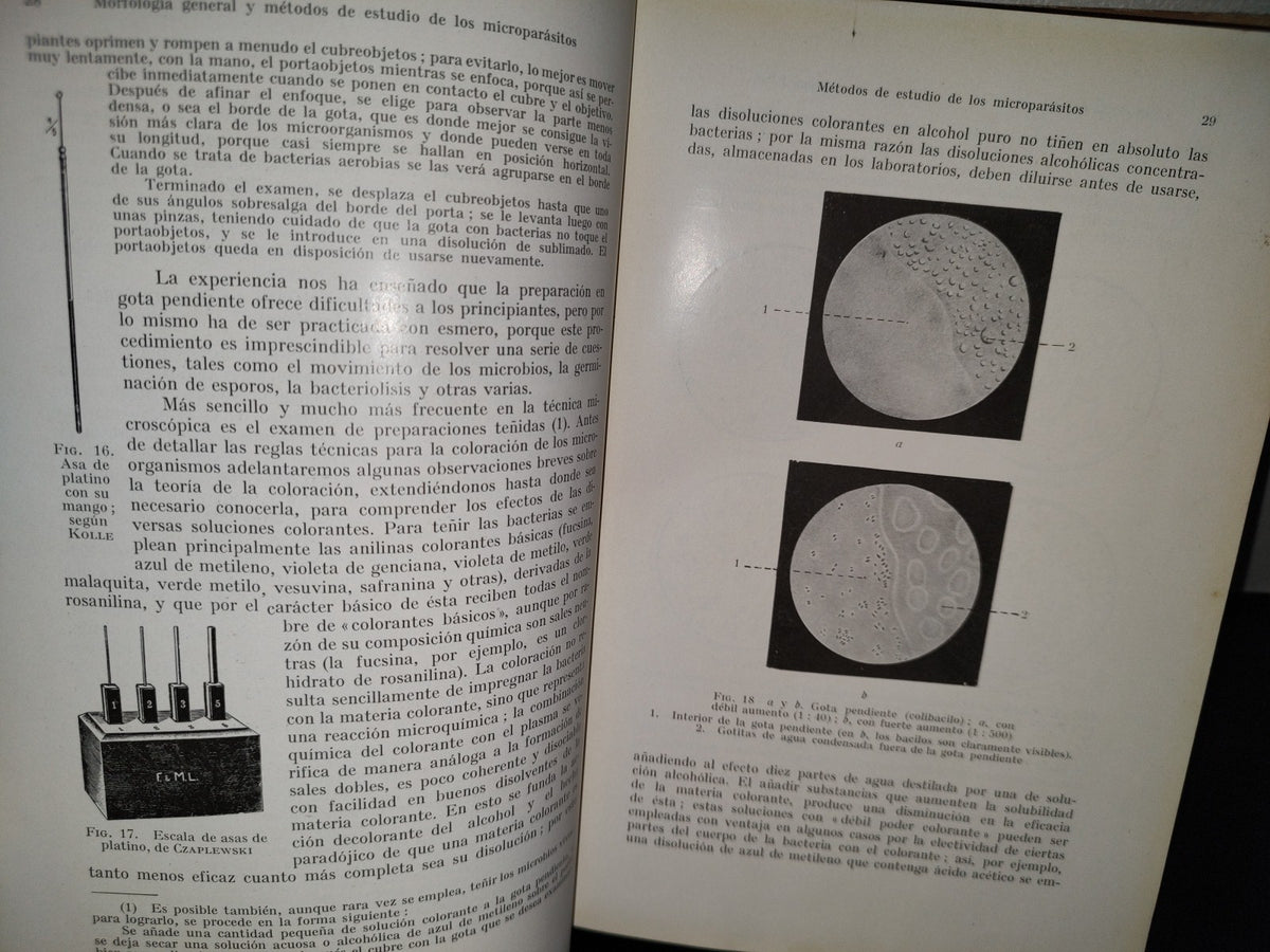 59- Tratado Práctico De Microparasitología Y Serología - E. Gotschlich, W. Schürmann - 1932