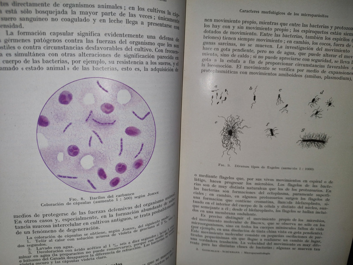 59- Tratado Práctico De Microparasitología Y Serología - E. Gotschlich, W. Schürmann - 1932