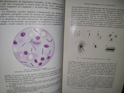 59- Tratado Práctico De Microparasitología Y Serología - E. Gotschlich, W. Schürmann - 1932