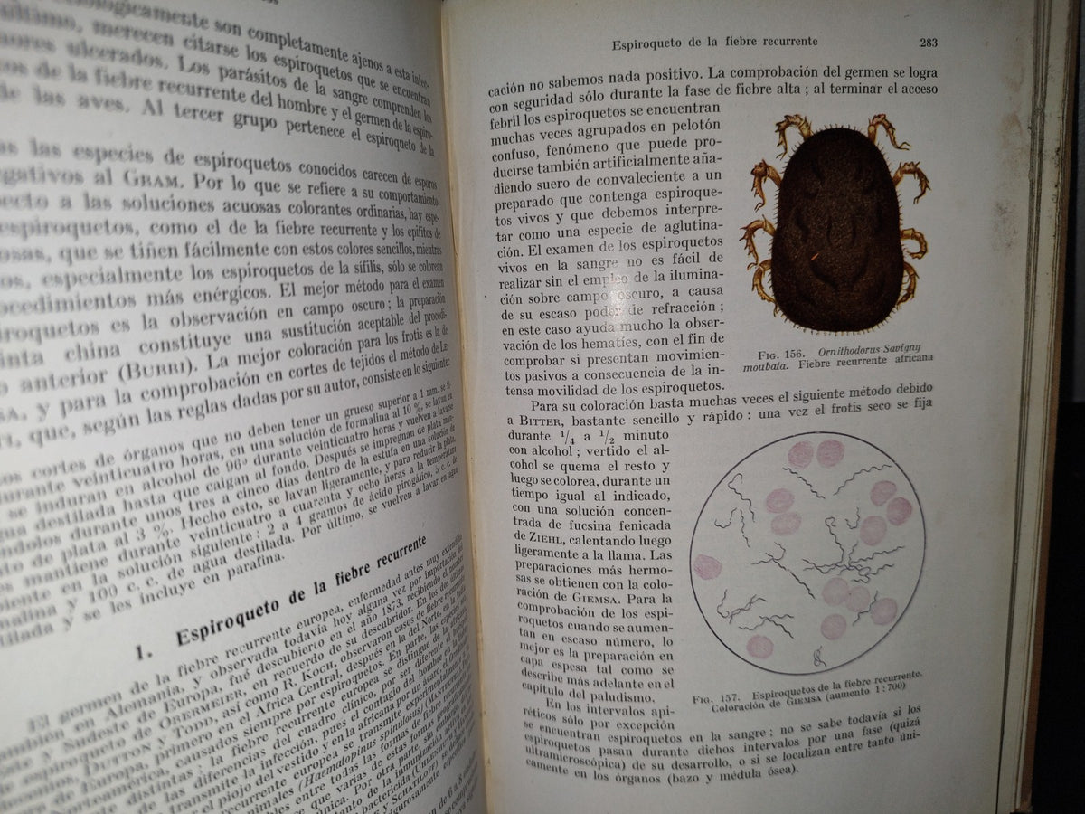 59- Tratado Práctico De Microparasitología Y Serología - E. Gotschlich, W. Schürmann - 1932