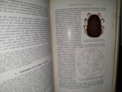 59- Tratado Práctico De Microparasitología Y Serología - E. Gotschlich, W. Schürmann - 1932