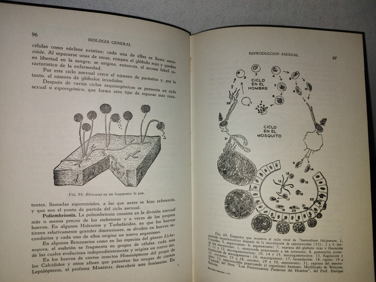 100- Biología General - Dr. José De Lille - 1971