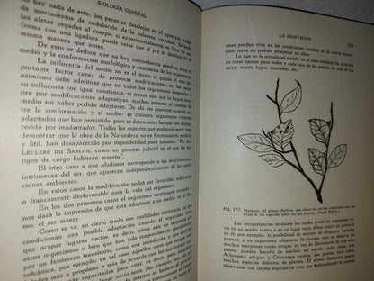 100- Biología General - Dr. José De Lille - 1971