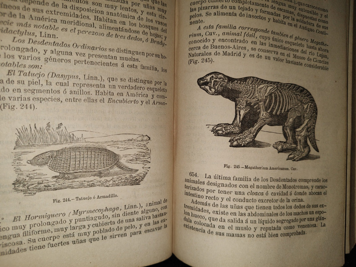63- Manual De Historia Natural - Manuel María José De Galdo. Madrid: Librería De D. G. Hernando 1880