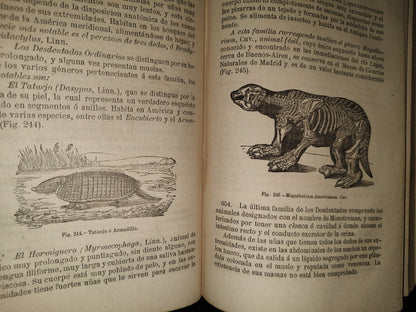 63- Manual De Historia Natural - Manuel María José De Galdo. Madrid: Librería De D. G. Hernando 1880