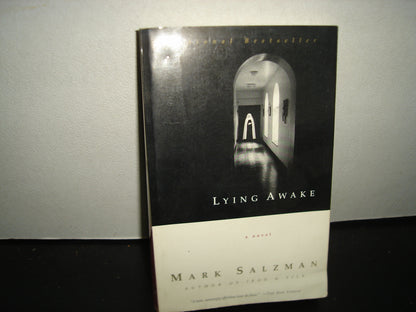 168- Lying Awake - Mark Salzman
