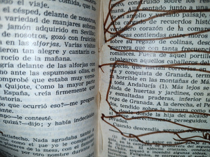 66- Cuentos De La Alhambra - Washington Irving - 1971 - Ediciones Miguel Sánchez