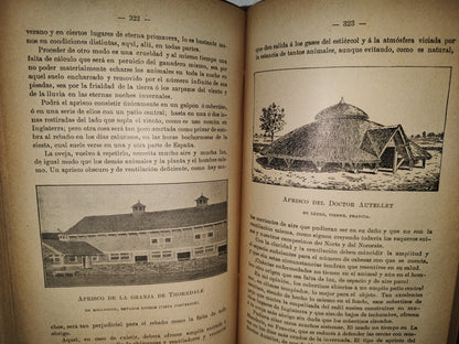 59- Ovejas Y Cabras - M. Escandón - Madrid, Ángel De San Martín, Librero Editor - 1900'S