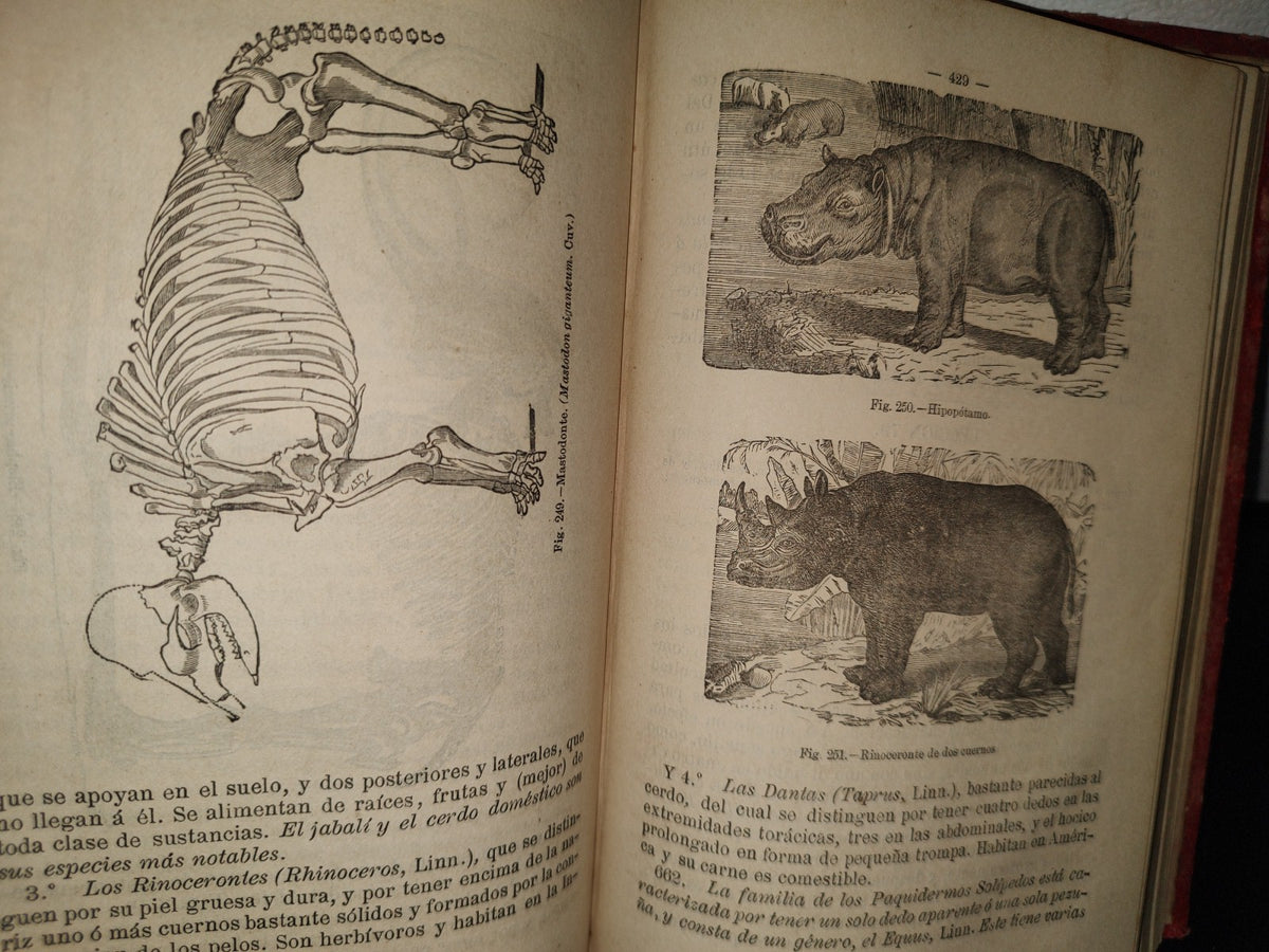 63- Manual De Historia Natural - Manuel María José De Galdo. Madrid: Librería De D. G. Hernando 1880
