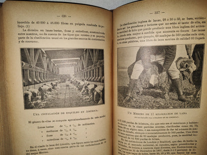 59- Ovejas Y Cabras - M. Escandón - Madrid, Ángel De San Martín, Librero Editor - 1900'S