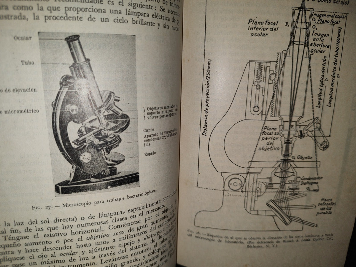 57- Elementos De Bacteriología - Martin Frobisher, Jr. - Primera Edición 1947