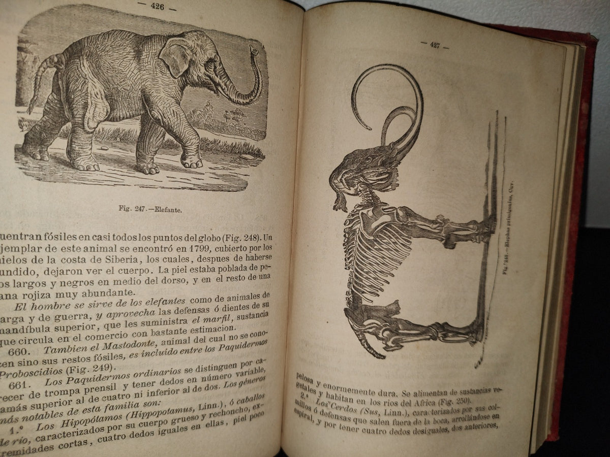 63- Manual De Historia Natural - Manuel María José De Galdo. Madrid: Librería De D. G. Hernando 1880
