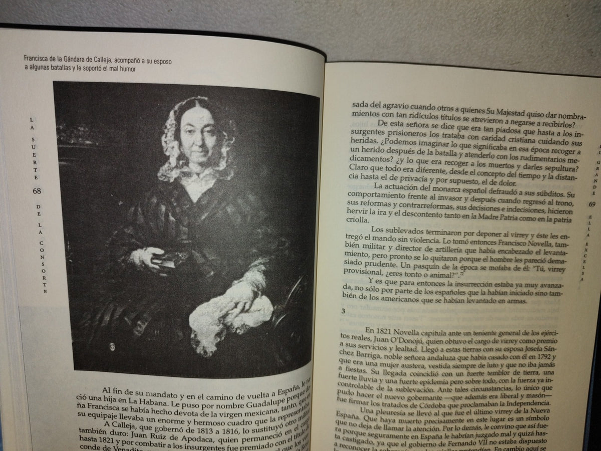 158- La Suerte De La Consorte. Las Esposas De Los Gobernantes De México: Historia De Un Olvido Y Relato De Un Fracaso - Sara Sefchovic - Editorial Oceáno De México, 1999