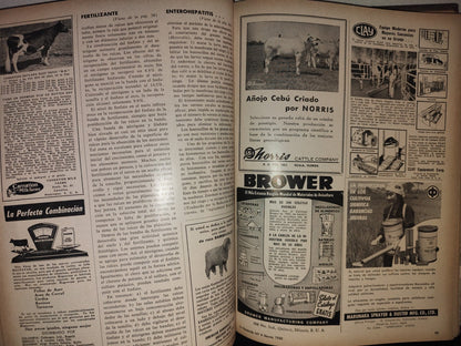 209- Compilación De Antiguas Revistas La Hacienda - 1960 (Varios Números)