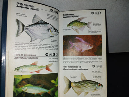 100- Guía De Los Peces De Acuario - Gwynne Vevers - Guías De Bolsillo Folio - 1982