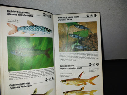 100- Guía De Los Peces De Acuario - Gwynne Vevers - Guías De Bolsillo Folio - 1982