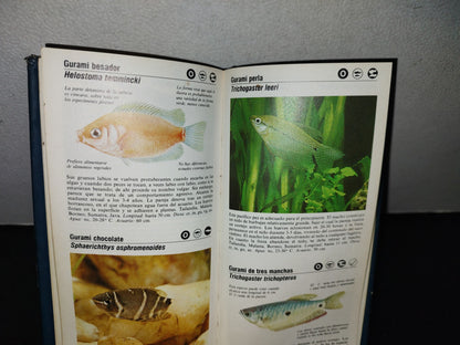 100- Guía De Los Peces De Acuario - Gwynne Vevers - Guías De Bolsillo Folio - 1982