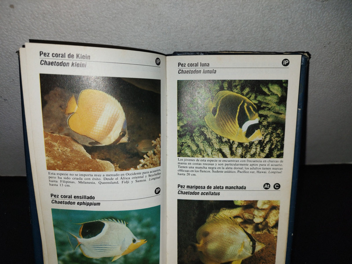 100- Guía De Los Peces De Acuario - Gwynne Vevers - Guías De Bolsillo Folio - 1982