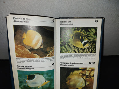 100- Guía De Los Peces De Acuario - Gwynne Vevers - Guías De Bolsillo Folio - 1982