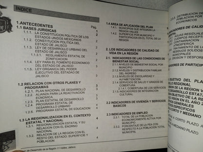99- Plan De Desarrollo Regional. Región 11 Valles - Gobierno Del Estado De Jalisco - 90'S