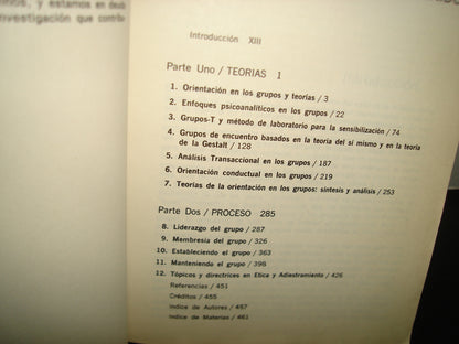 4- Asesoramiento De Grupos - James C. Hansen