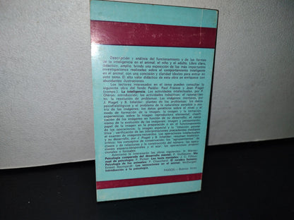 78- La Inteligencia - Gaston Viaud - Editorial Paidós, Buenos Aires, 1973