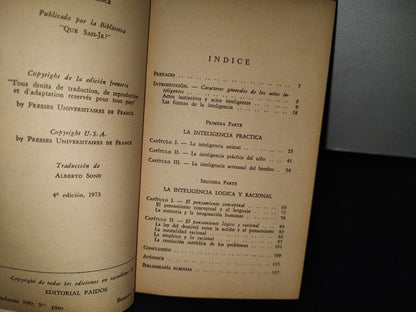 78- La Inteligencia - Gaston Viaud - Editorial Paidós, Buenos Aires, 1973