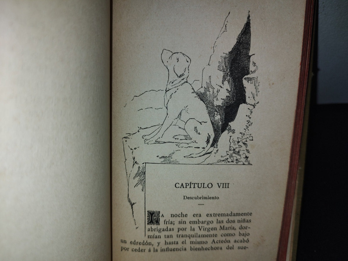 63- Beatriz Por La Condesa De Veilles. Barcelona. Imprenta Y Librería De Subirana Hermanos - 1894
